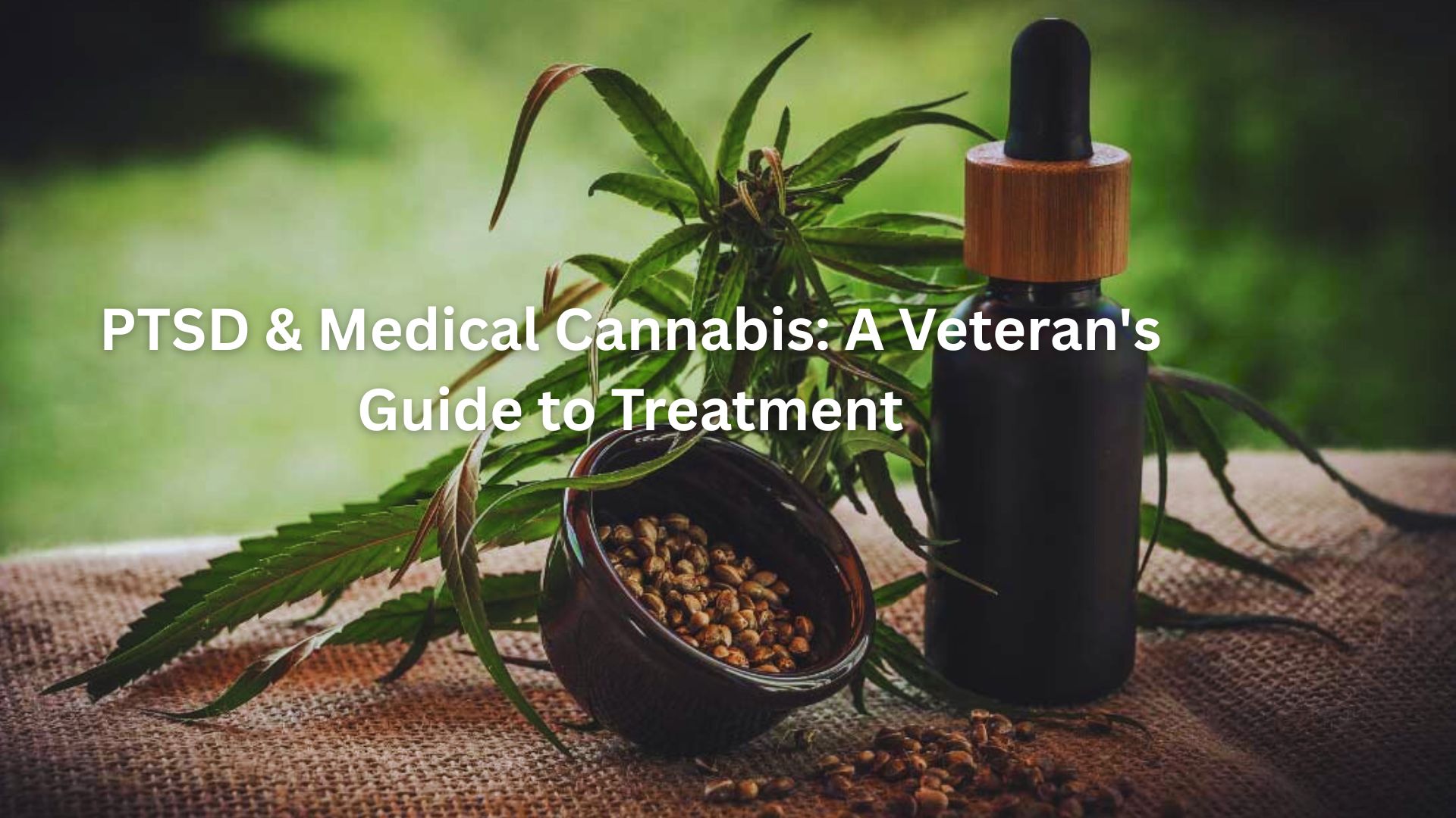 PTSD and Medical Cannabis: A Veteran’s Guide to Alternative Treatment Options